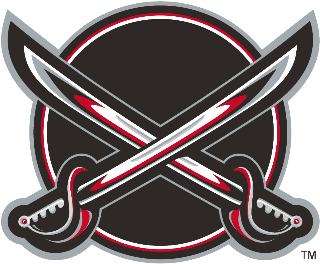 Buffalo Sabres 2000-2006 Alternate Logo fabric transfer